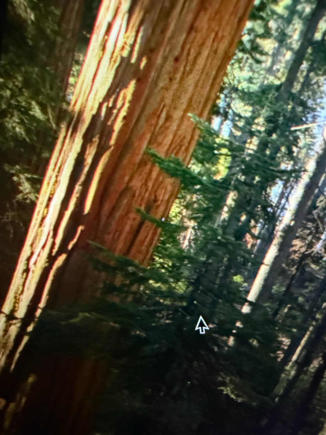 맥북프로 터치바 2019 상품이미지2