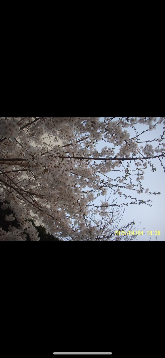 삼성#1 mp3 상품이미지9