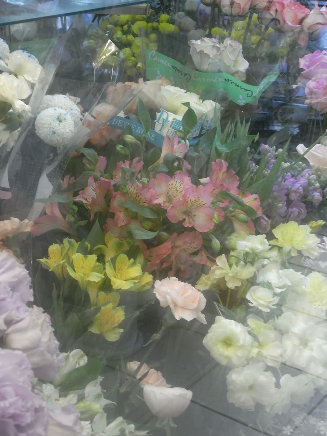 리코 R10 브라운 (작례o) 상품이미지5