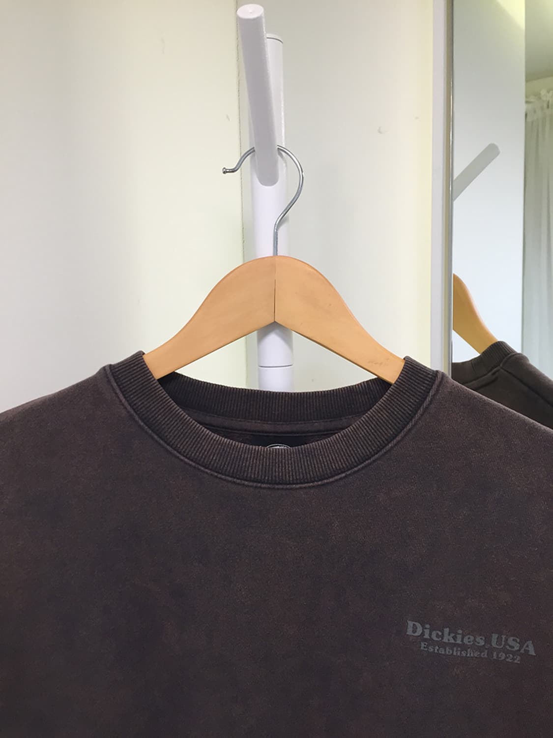 Unisex Dickies Sweat 100 상품이미지5