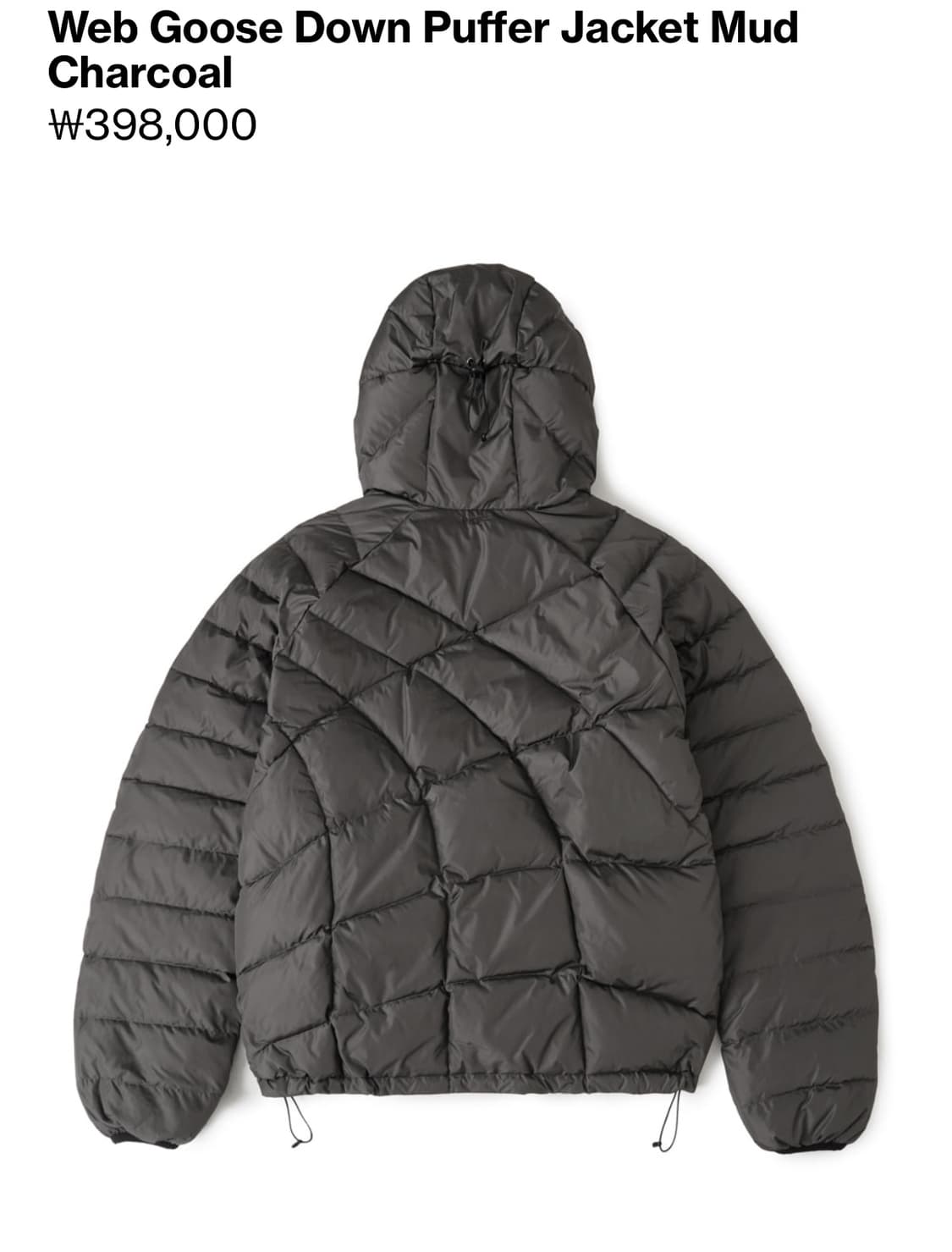 25FW  Web Goose Down Puffer Mud Charcoal 상품이미지2