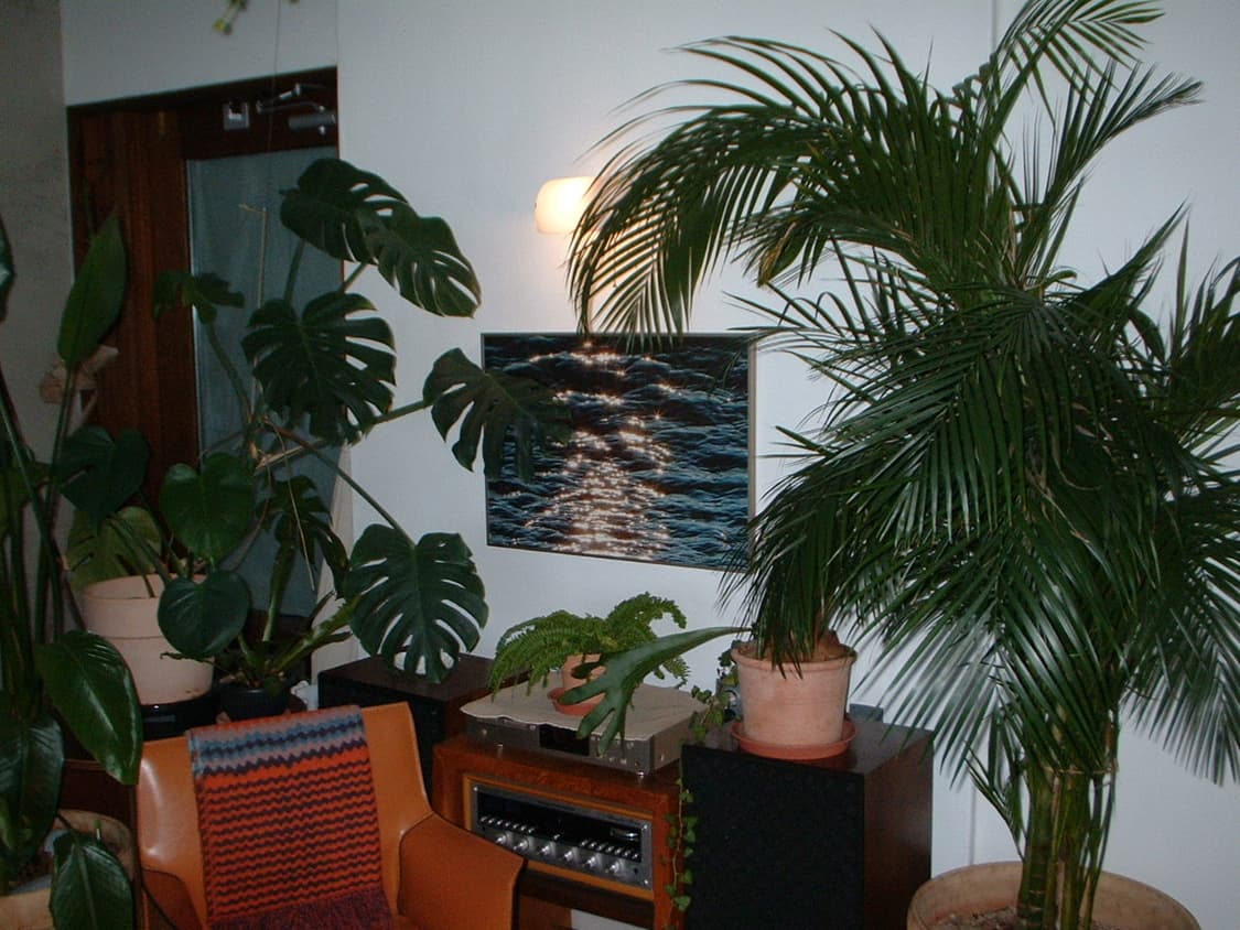 왕초보 추천! 후지필름 파인픽스 a201 상품이미지1