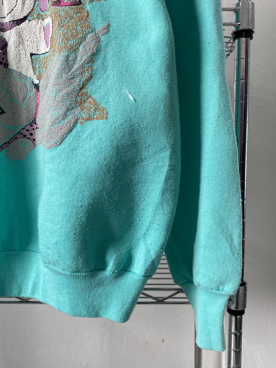 프룻 오브 더 룸 스웻셔츠 (Woman L) AB1749 상품이미지3