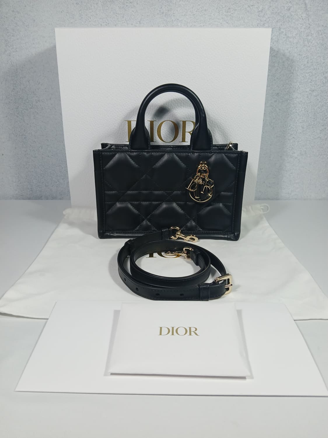 디올 매크로 까나쥬 북토트백 미니 S5573OWHP 상품이미지1