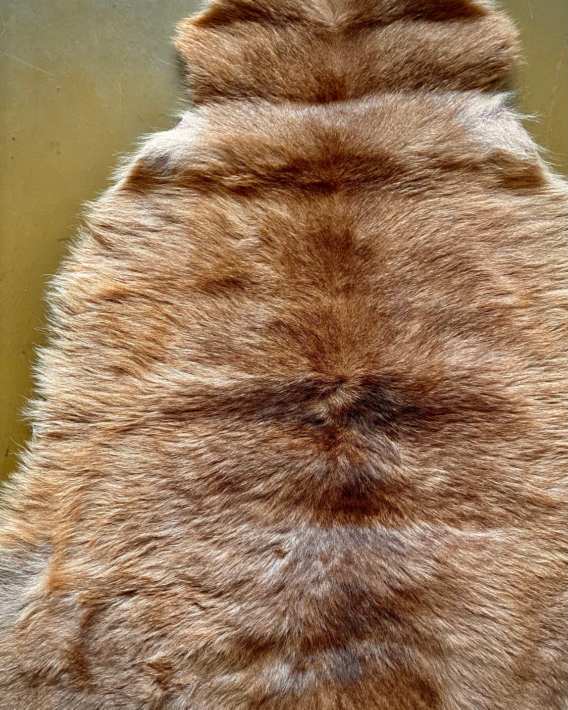 (A)2000s Australian Kangaroo Skin Carpet 상품이미지7