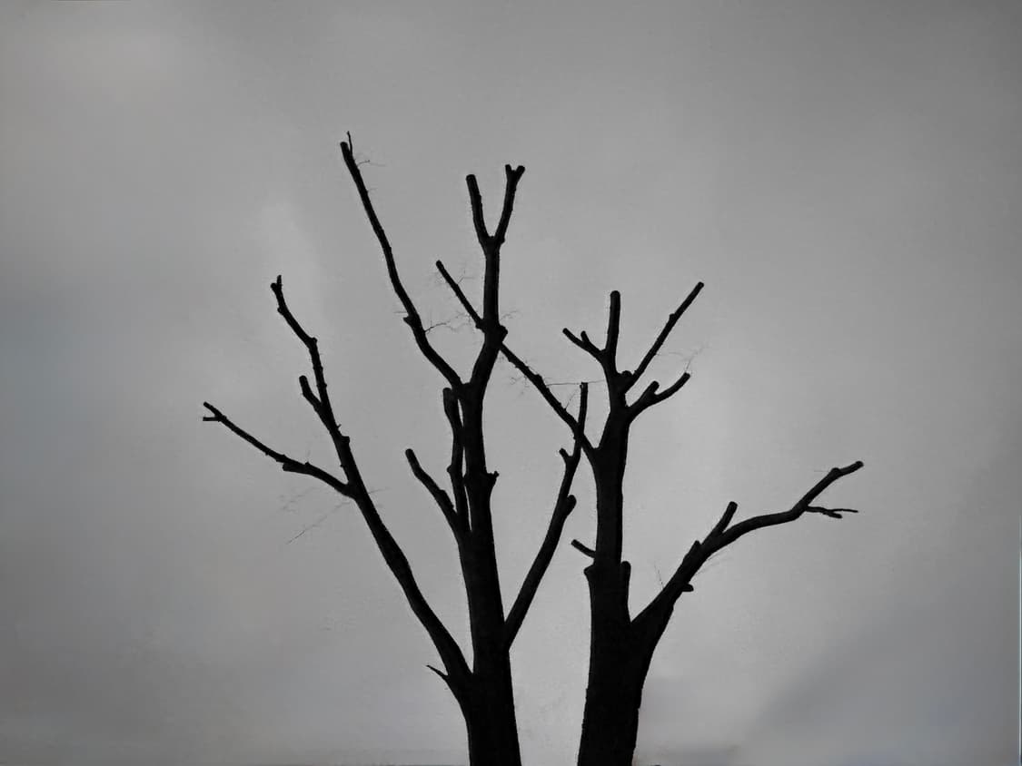 Dochipapa님 결제창 상품이미지1