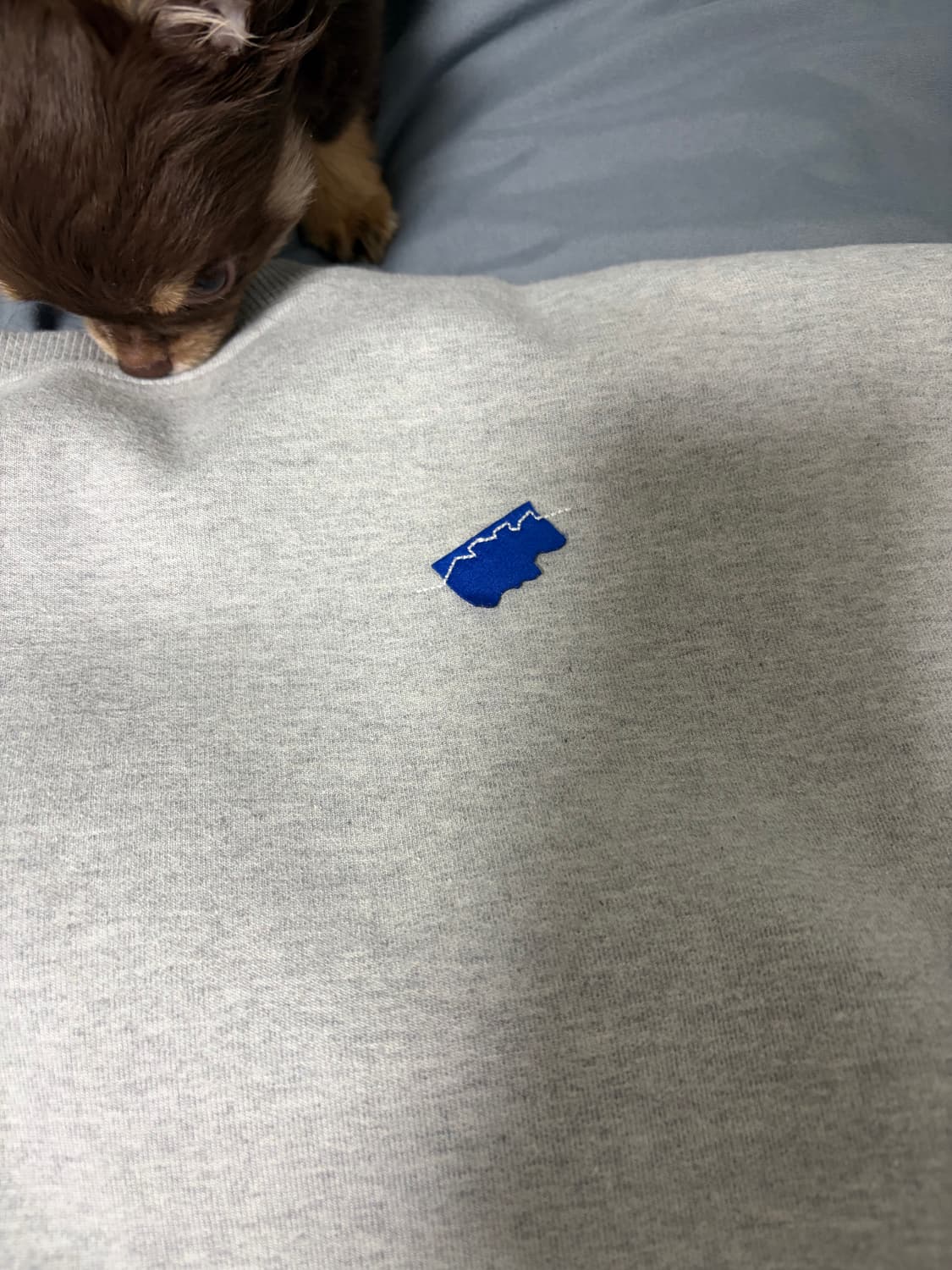 [A2]아더에러 트로피 맨투맨 상품이미지3