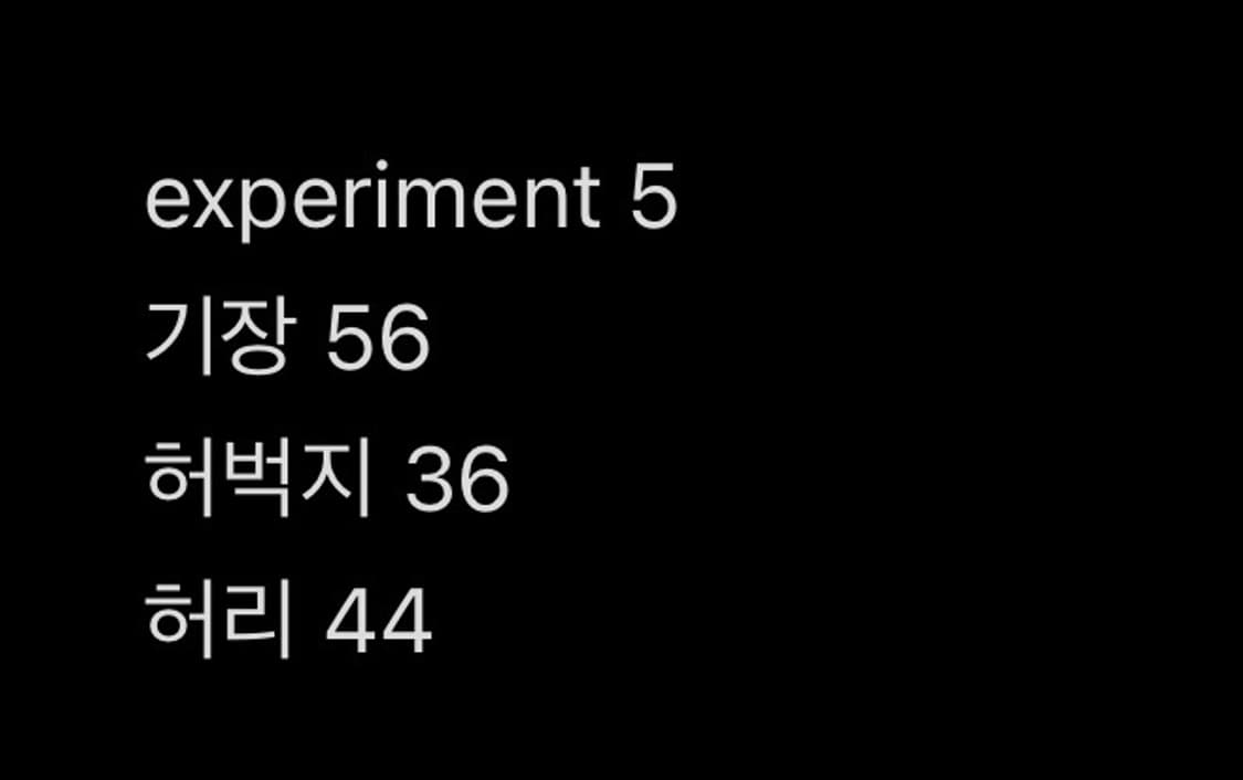 experiment 5 - 더블니 데님 쇼츠 jorts M (32) 상품이미지7