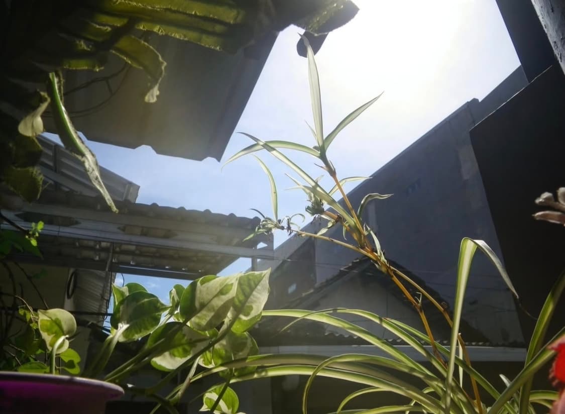 한글지원 방수 🏊‍♂️펜탁스 옵티오 W80 그레이 ✨  상품이미지6