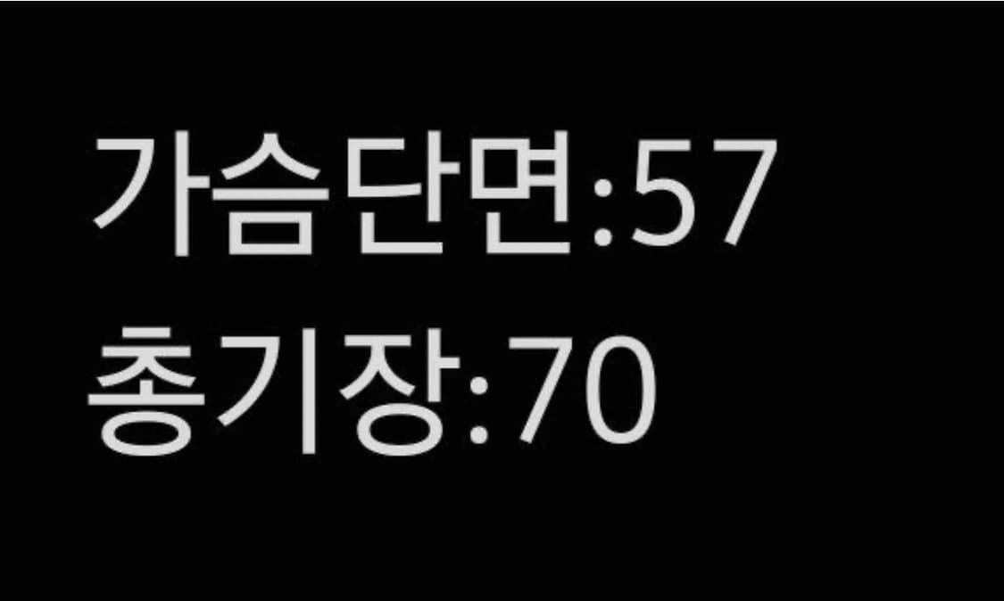 [정품/L] 노스페이스 여성 눕시 패딩 상품이미지5