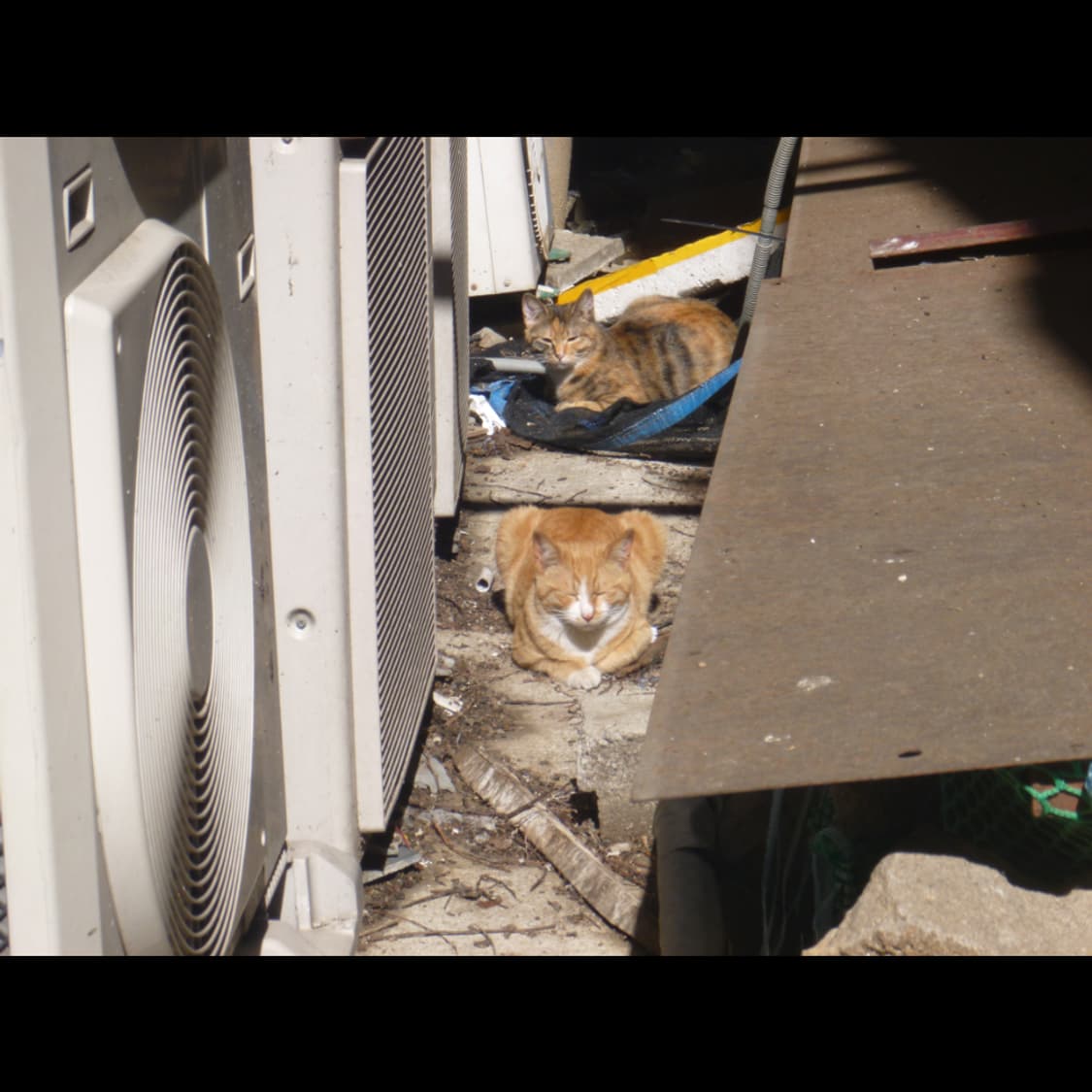 작례⭕️ 파나소닉 루믹스 DMC-FP7 상품이미지3