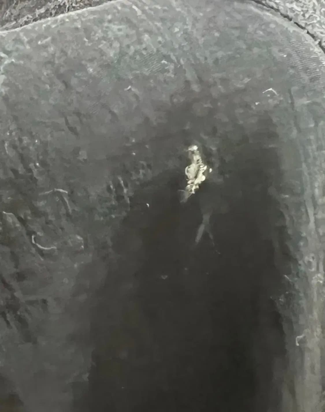 (os) 그레일즈 루나 니트팬츠 블랙 상품이미지3