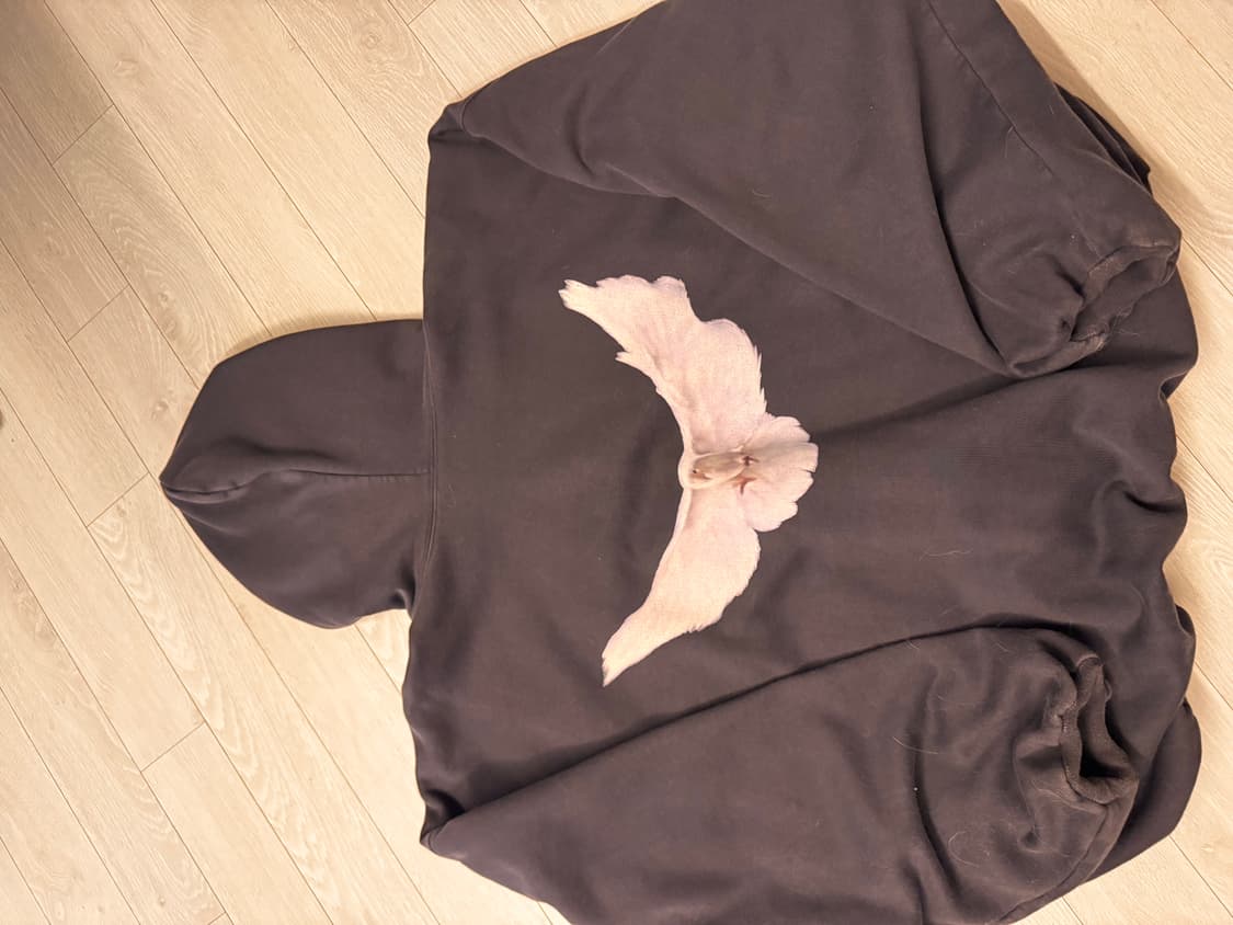 이지 갭 발렌시아가 도브 후디 다크그레이 상품이미지2