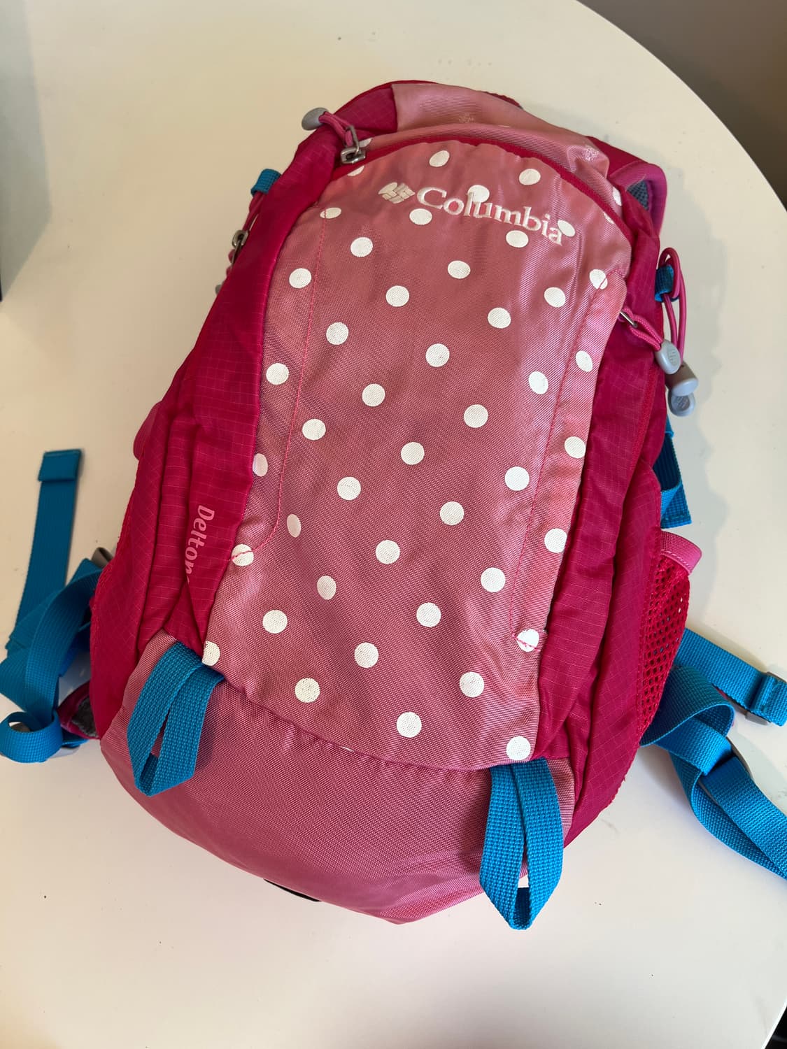 콜롬비아 빈티지 땡땡이 핑크 블루 백팩 상품이미지1