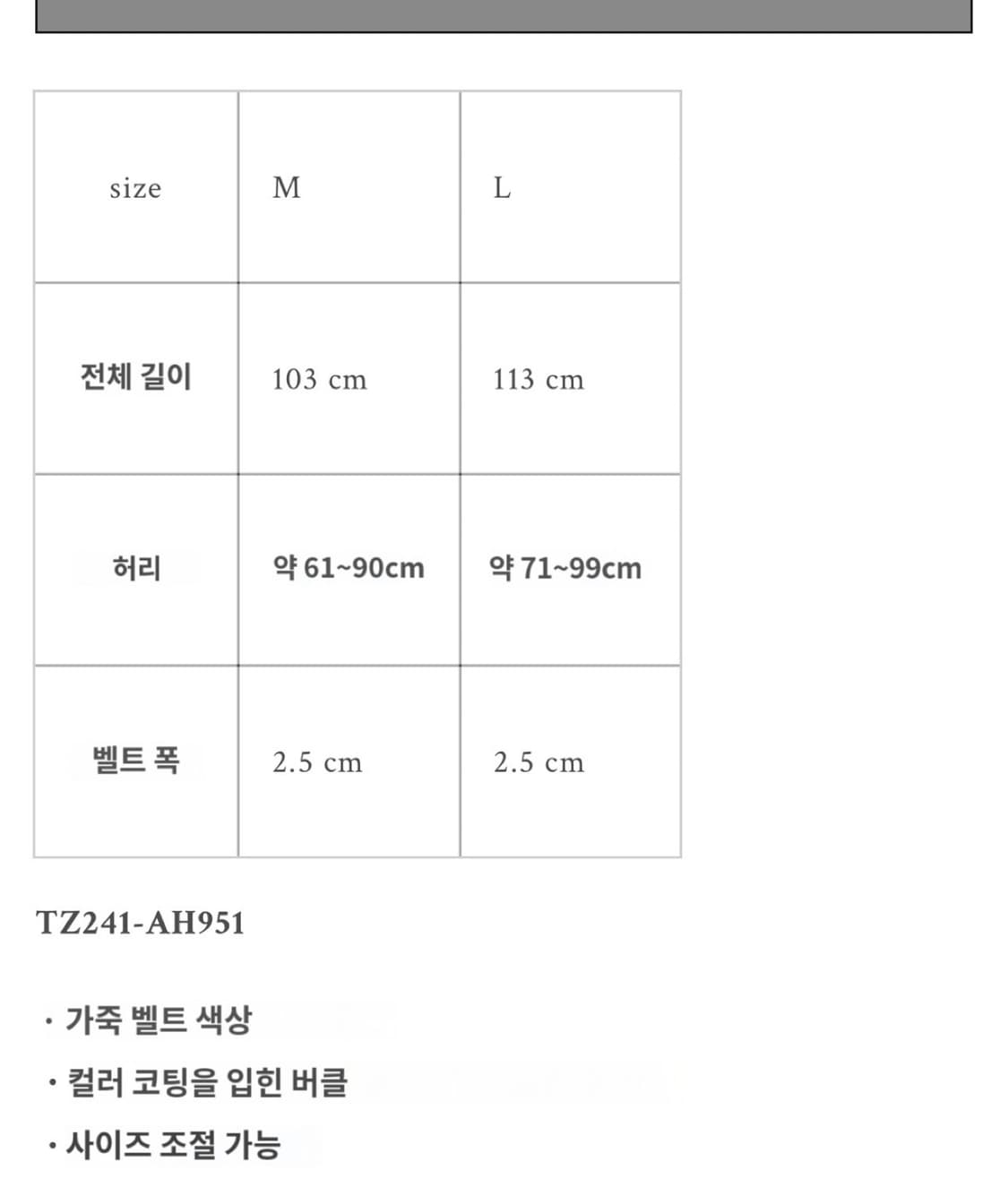 [M] 토가 투 (TOGA TOO) 레더 웨스턴 벨트 블랙 상품이미지5