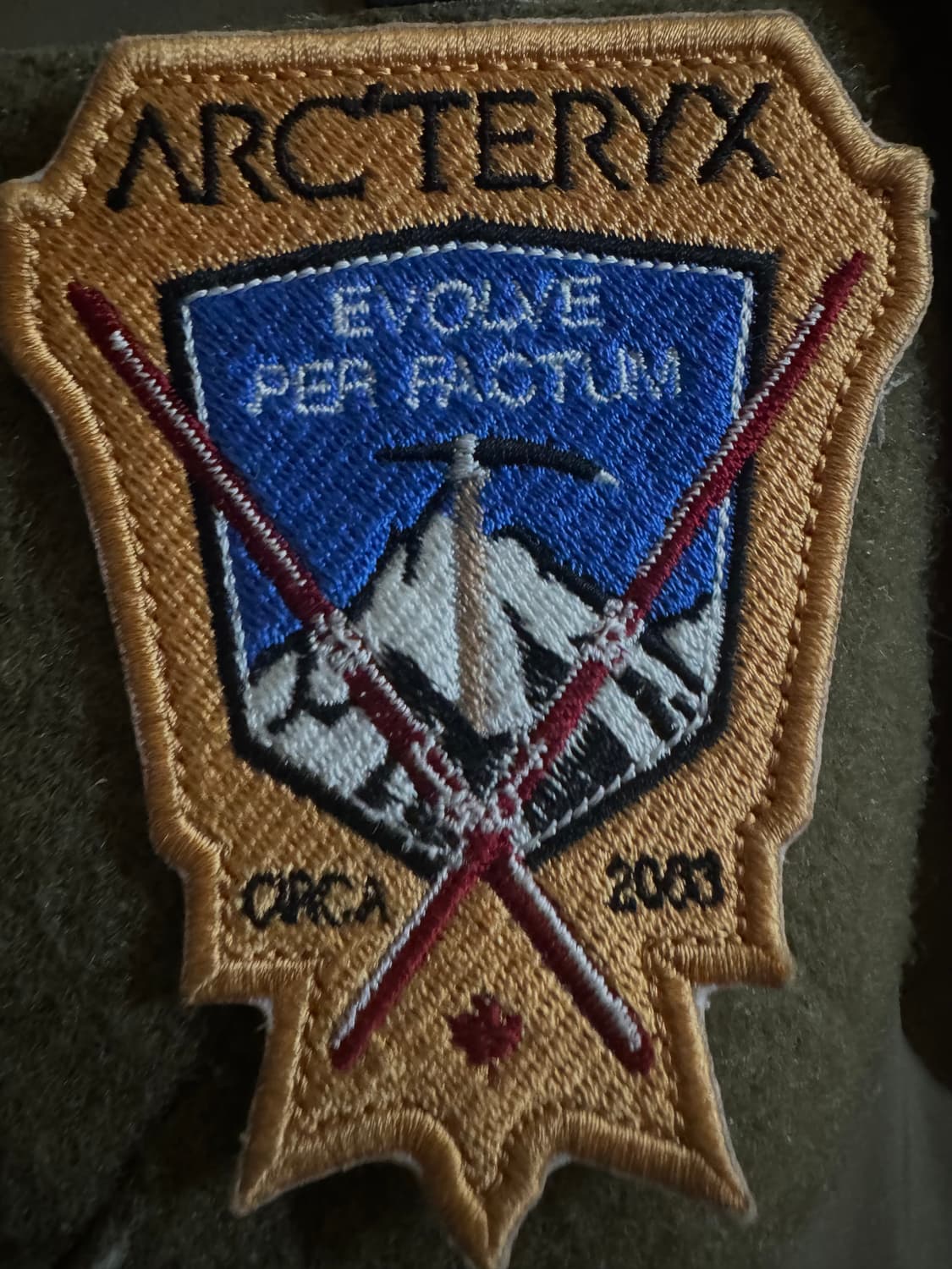 아크테릭스 리프콜드 상품이미지3