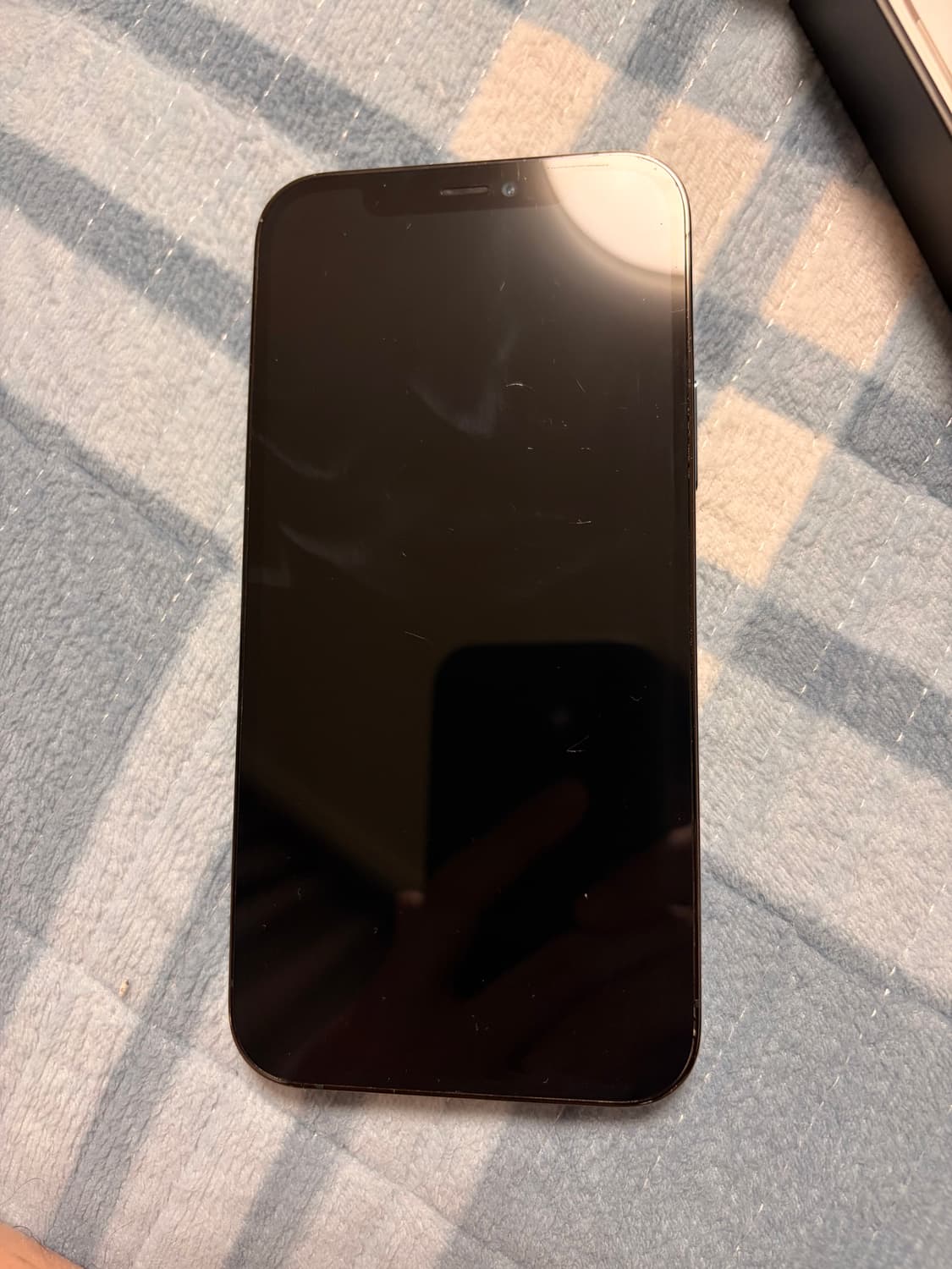 아이폰 12프로 퍼시픽 블루 128 상품이미지2