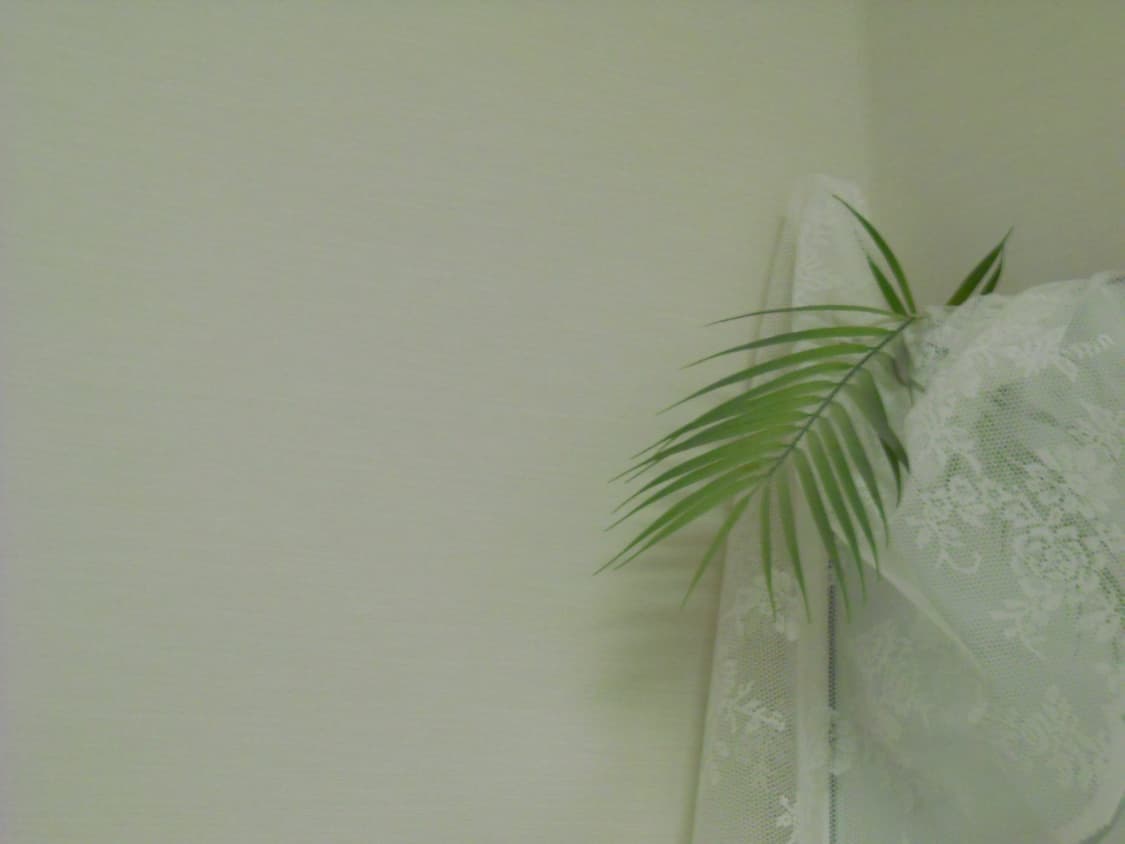 니콘 쿨픽스 L21 핑크 (최예나 디카!) 상품이미지8