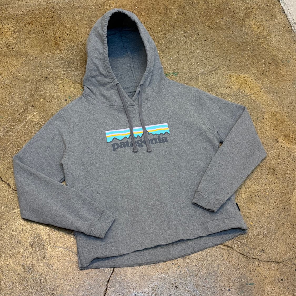 USA 빈티지 파타고니아 빅로고 후드티 상품이미지2