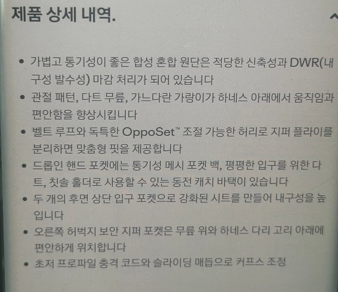 파타고니아 RPS Rock pants 남성 바지 상품이미지7