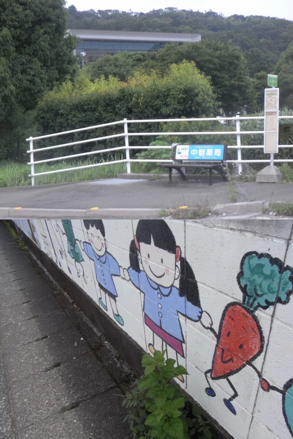 초미품/작례🫧𖠳ᐝ 리코 RICOH R10 상품이미지9