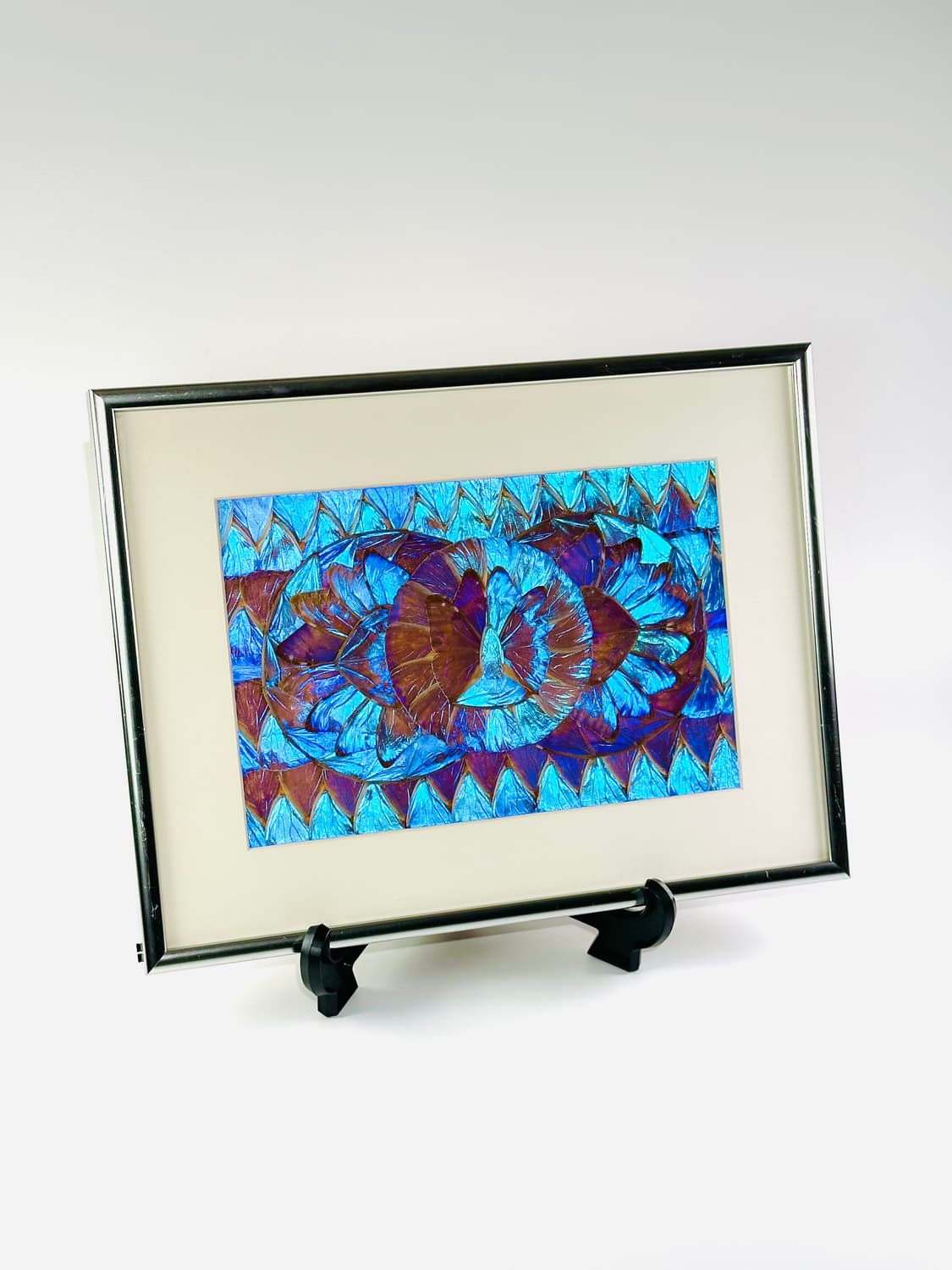 빈티지 브라질 모르포 버터플라이 윙 콜라주 아트 액자 상품이미지3