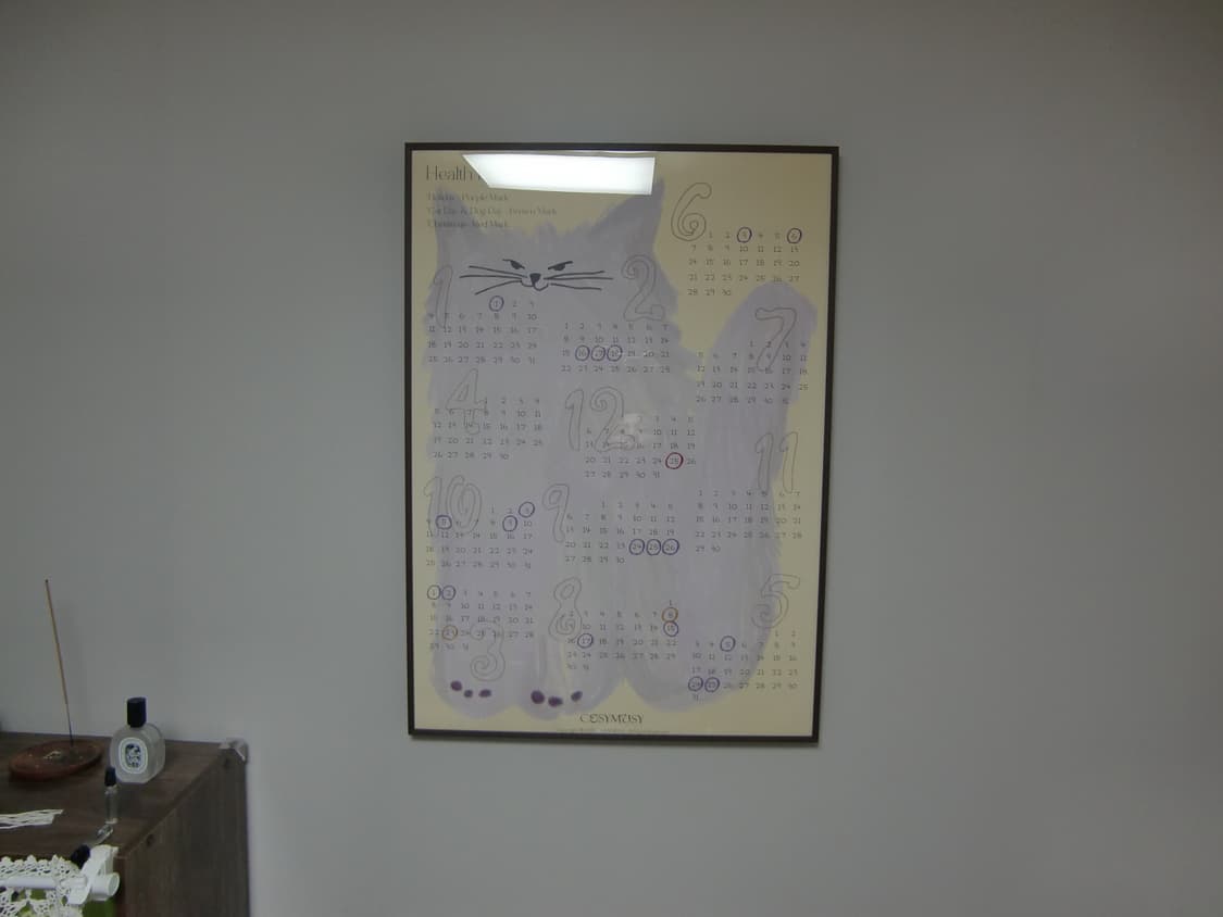 태연디카) 카시오 엑슬림 z400 핑크 상품이미지9