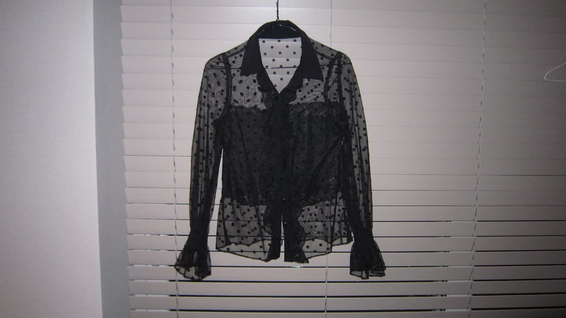 Dot seethrough blouse 상품이미지2