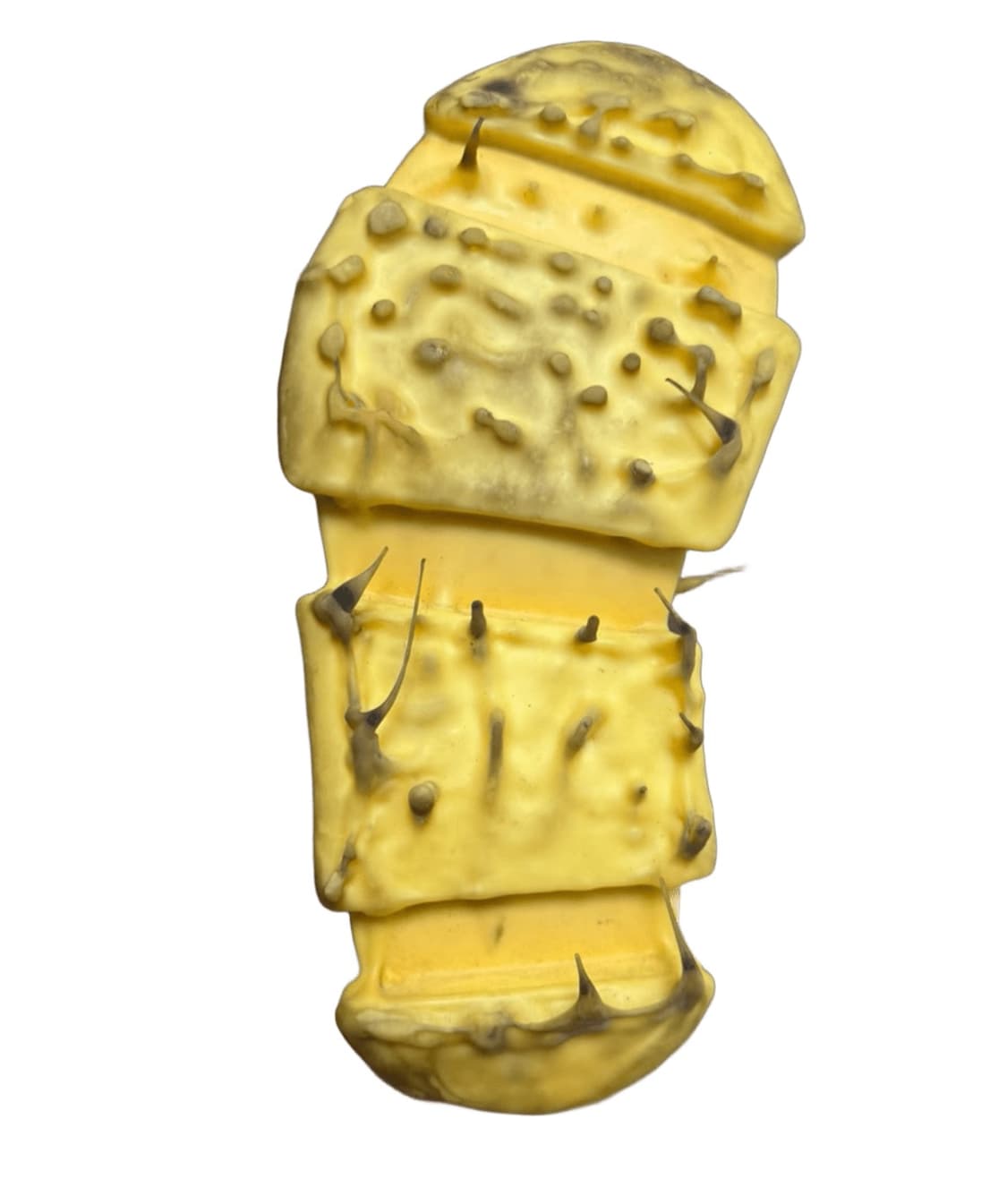 캐롤크리스찬 포엘 슈즈 8사이즈 상품이미지4