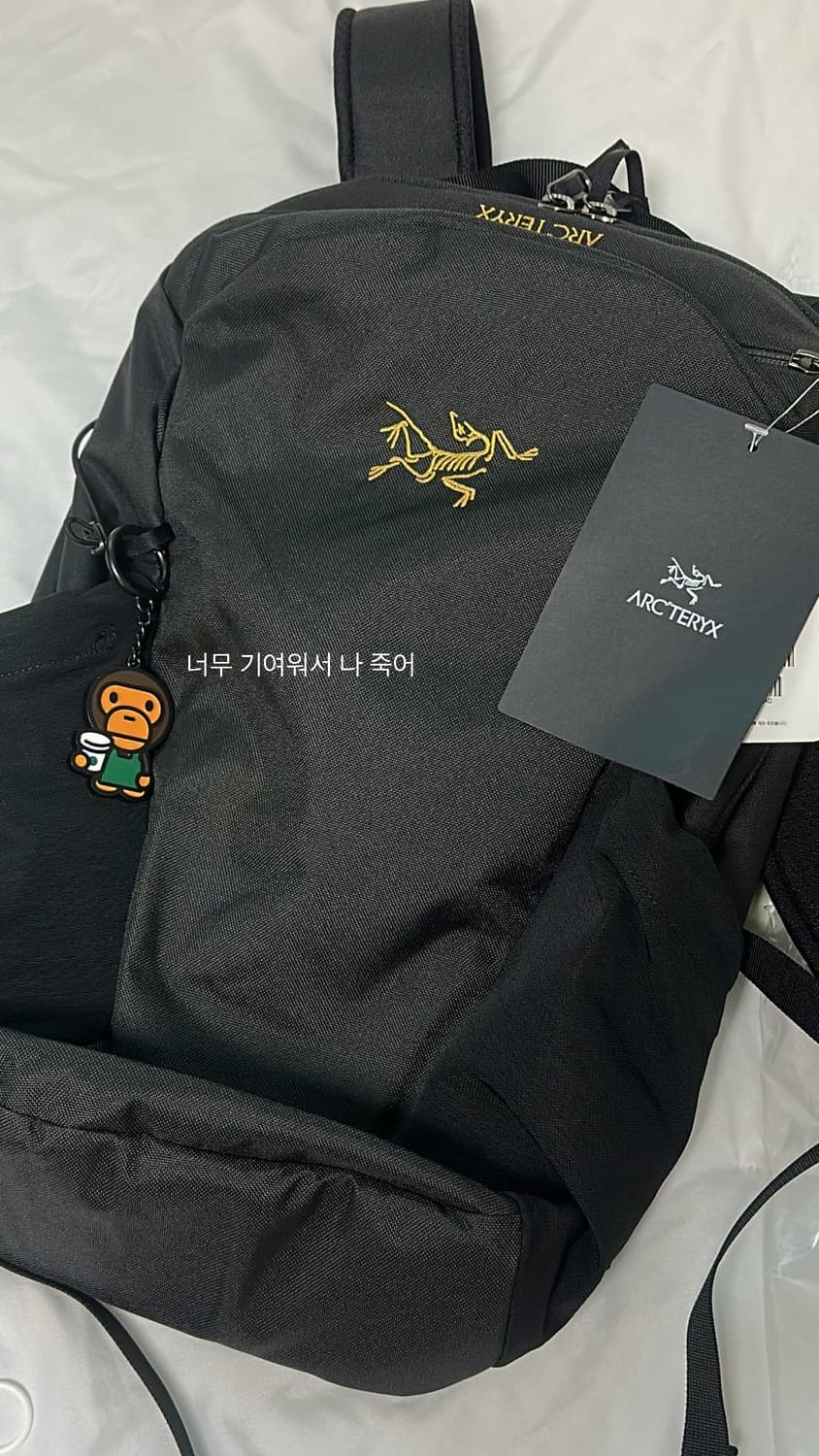 아크테릭스 맨티스 16 백팩  상품이미지4