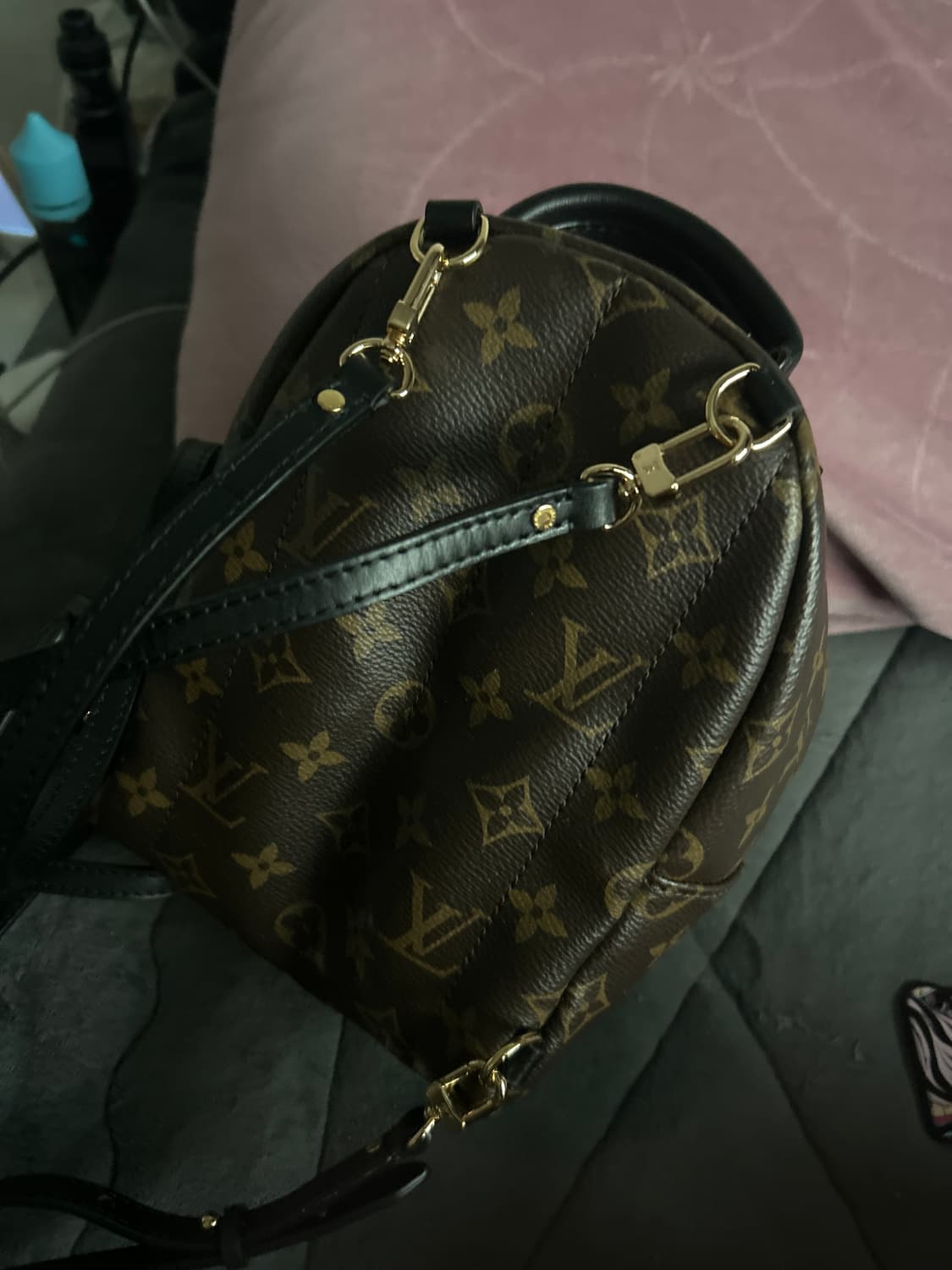 루이비통 팜 스프링스 백팩 미니 상품이미지2