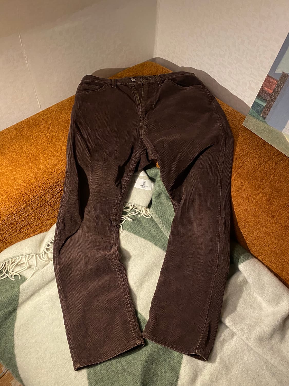 schott 브라운 코듀로이 팬츠 상품이미지3