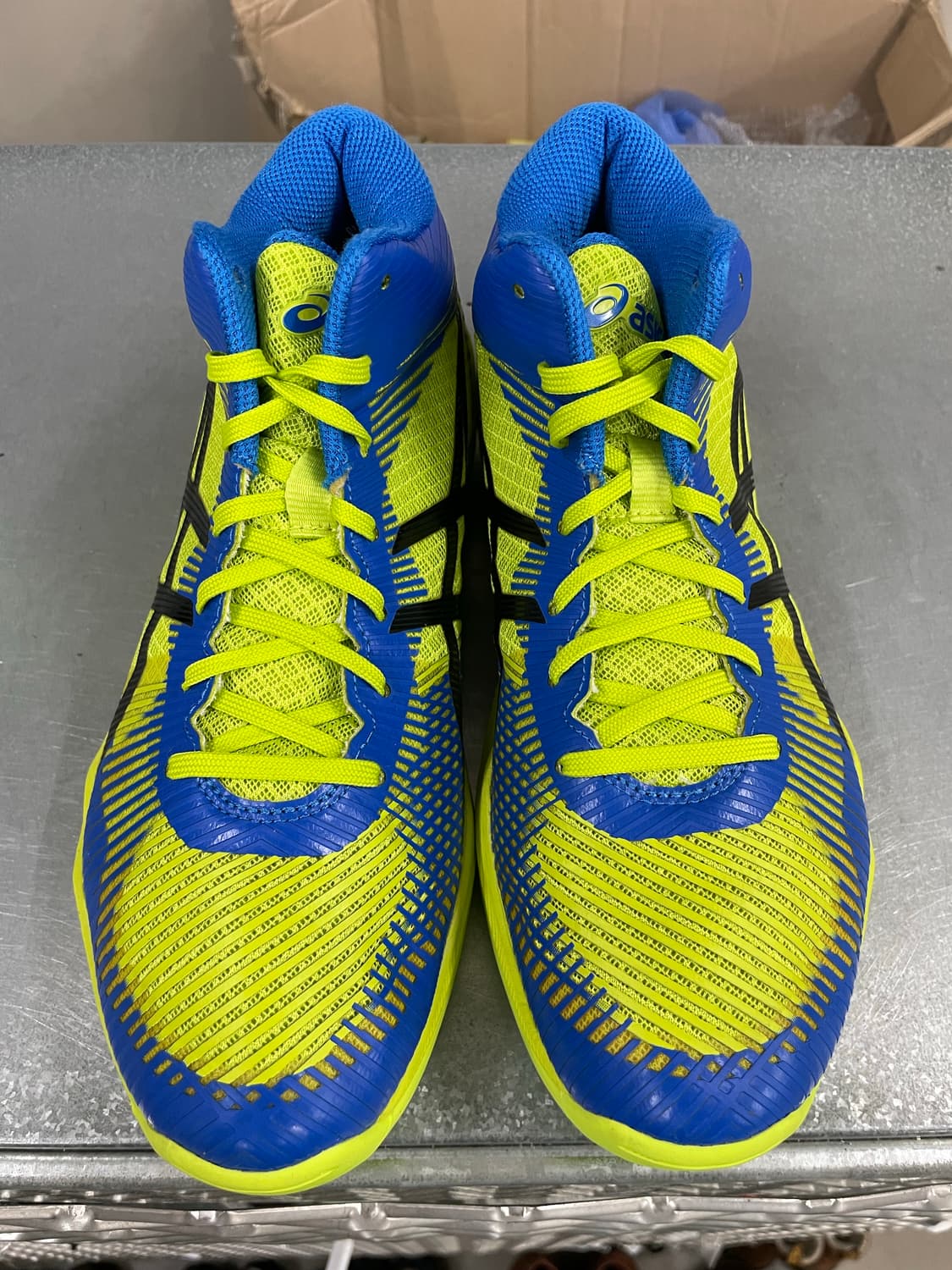 아식스 발리 엘리트 인도어화 270 (gr-4507) 상품이미지5