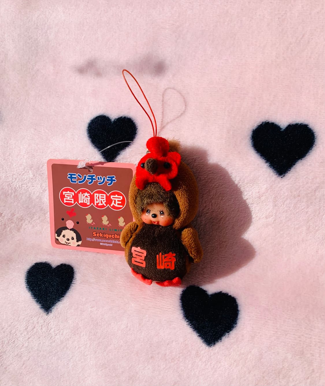 🐔초미니 나고야한정 코친 몬치치 키체인 상품이미지3
