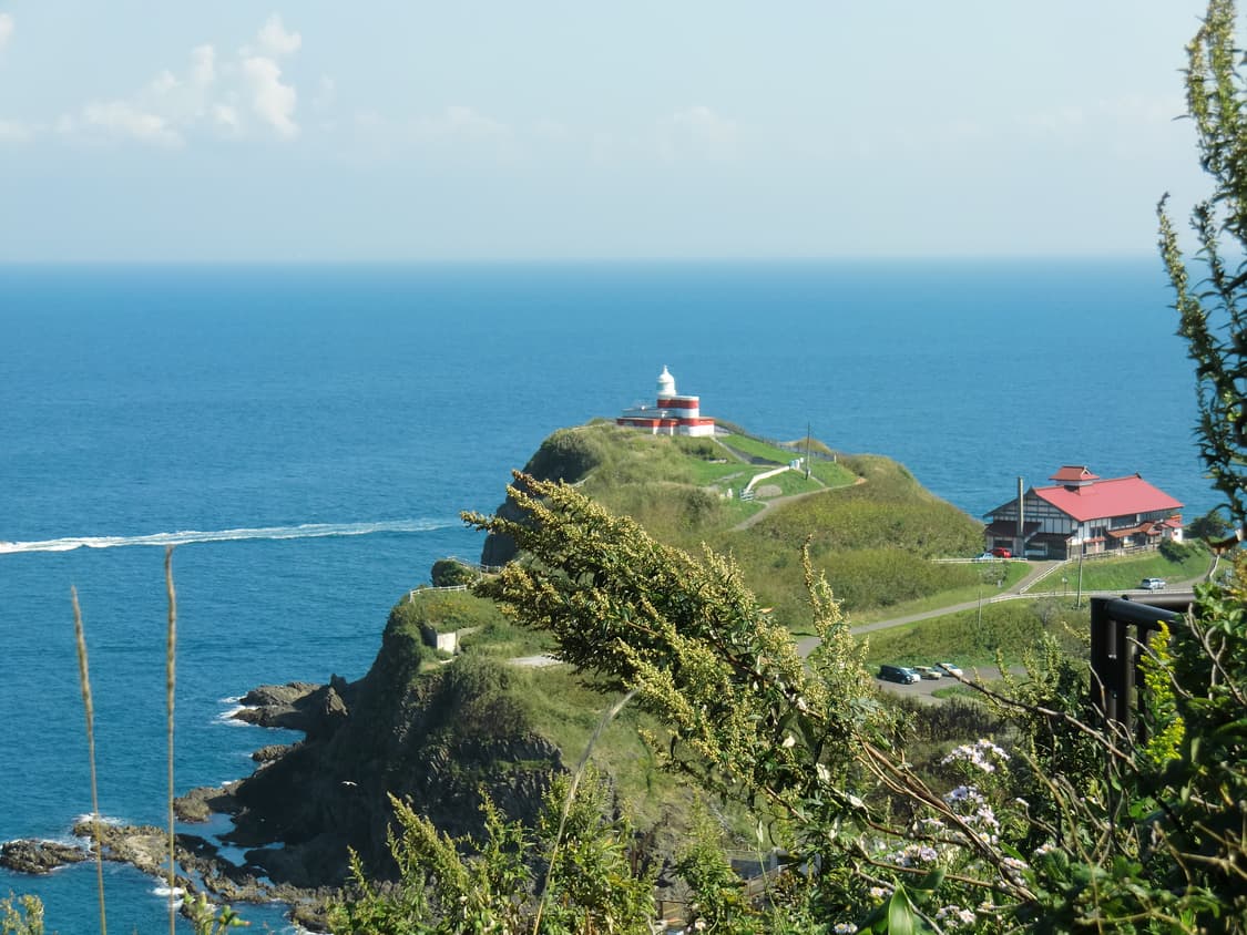 [민트급] 카시오 엑슬림 EX-H10 빈티지 디카 EXILIM 상품이미지10