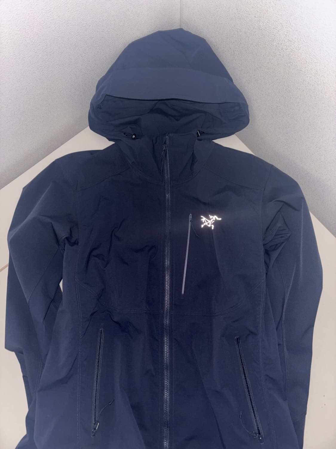 아크테릭스 감마 MX 후디 상품이미지1