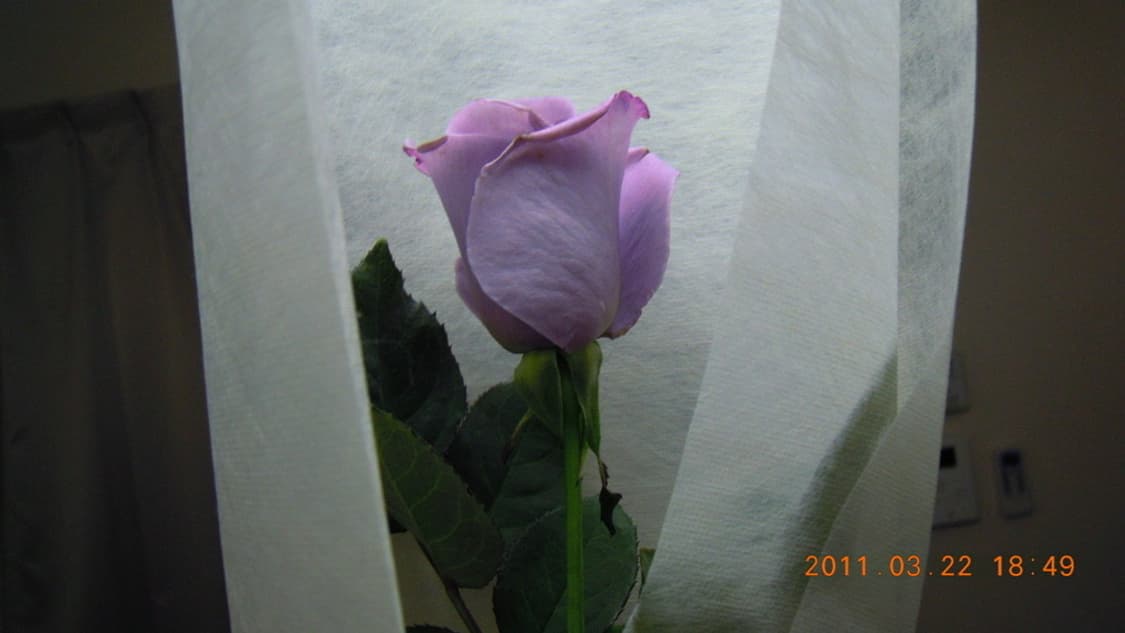 니콘 쿨픽스 Nikon Coolpix S5100 블랙 상품이미지3