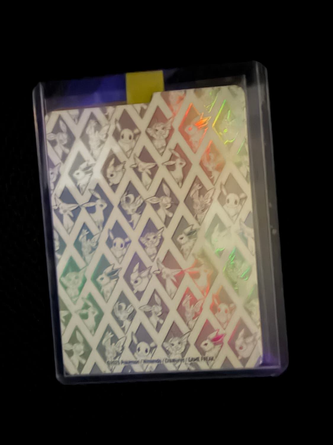 포켓몬 상품이미지2