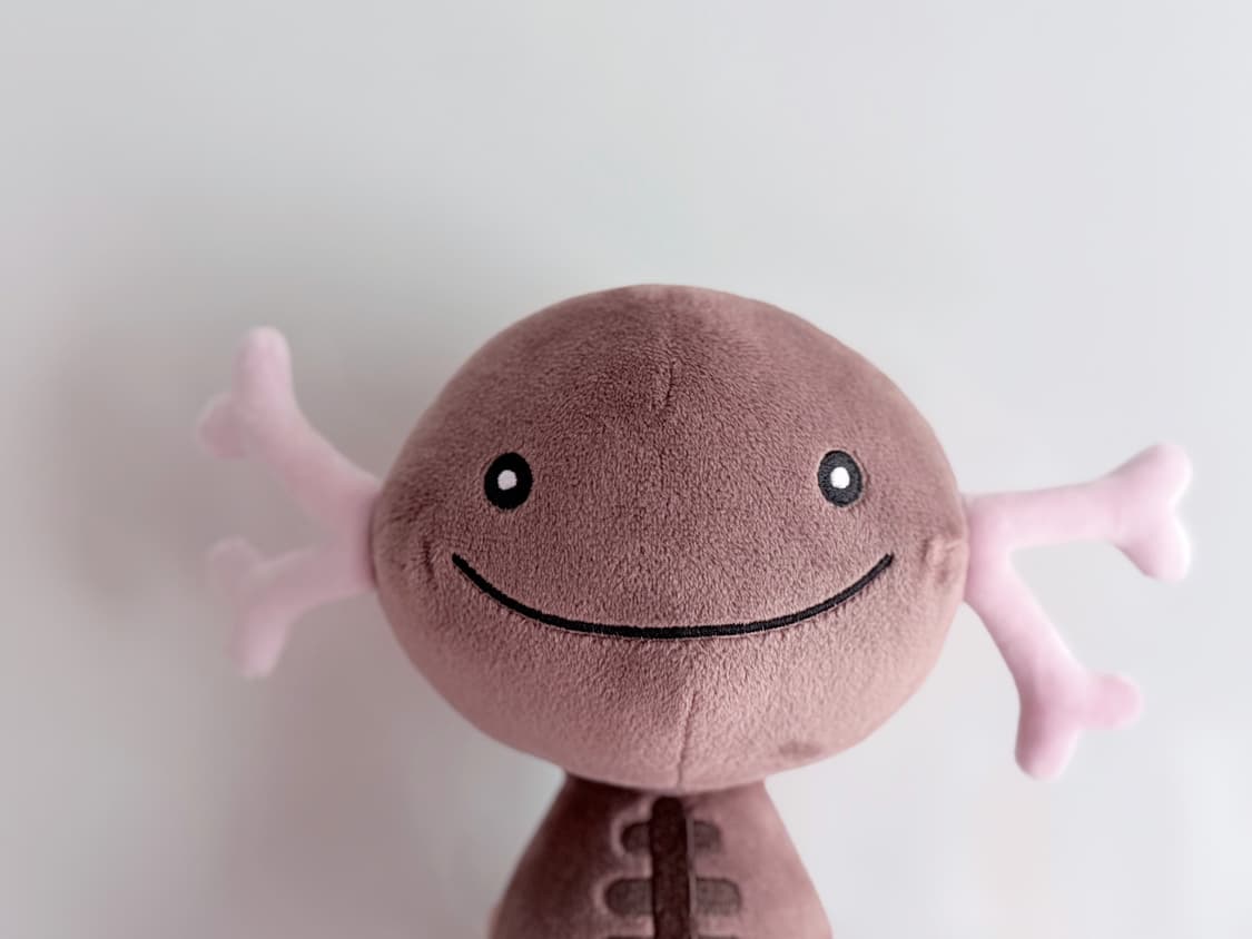 일본 포켓몬센터 오리지날 팔데아 우파 봉제인형 상품이미지6