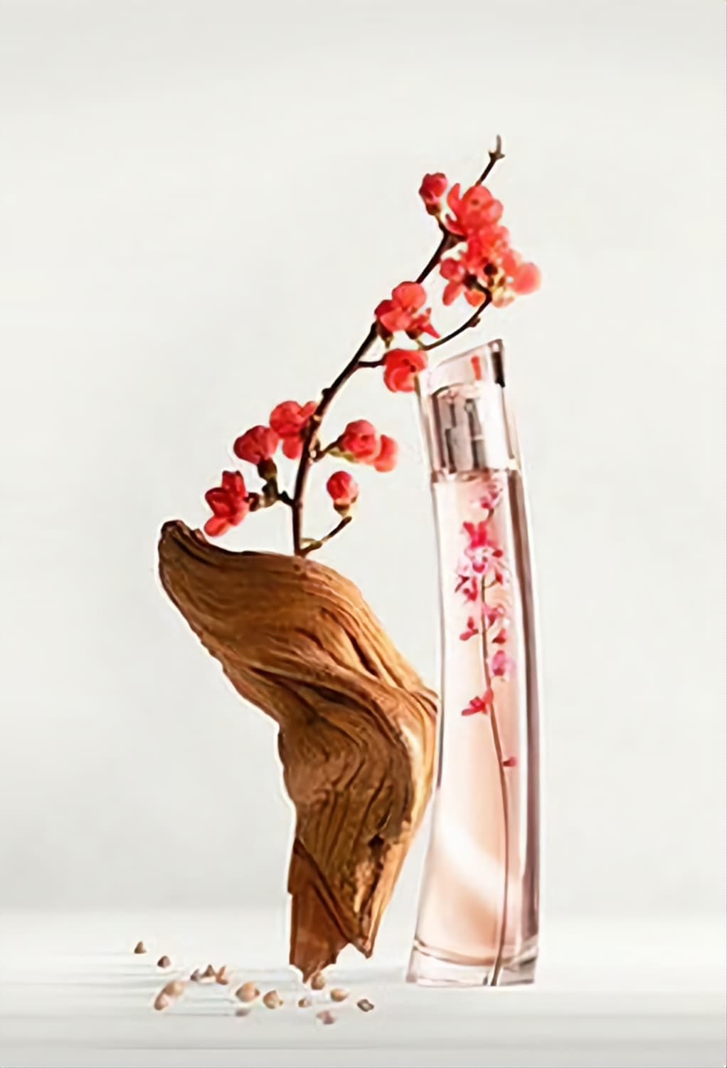 겐조 플라워 이케바나 바이겐조 오드퍼퓸 75ml 상품이미지1