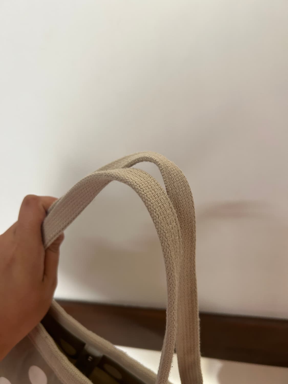 Rootote 땡땡이 토트백  상품이미지5