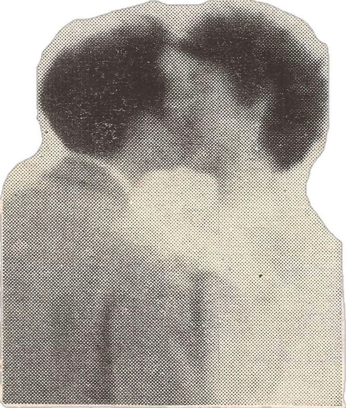 yoohlj 님 결제창 상품이미지1