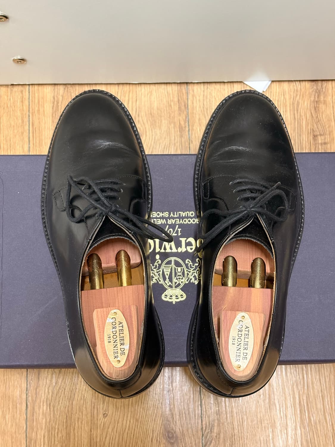 버윅 5341 240(5) 더비 상품이미지5