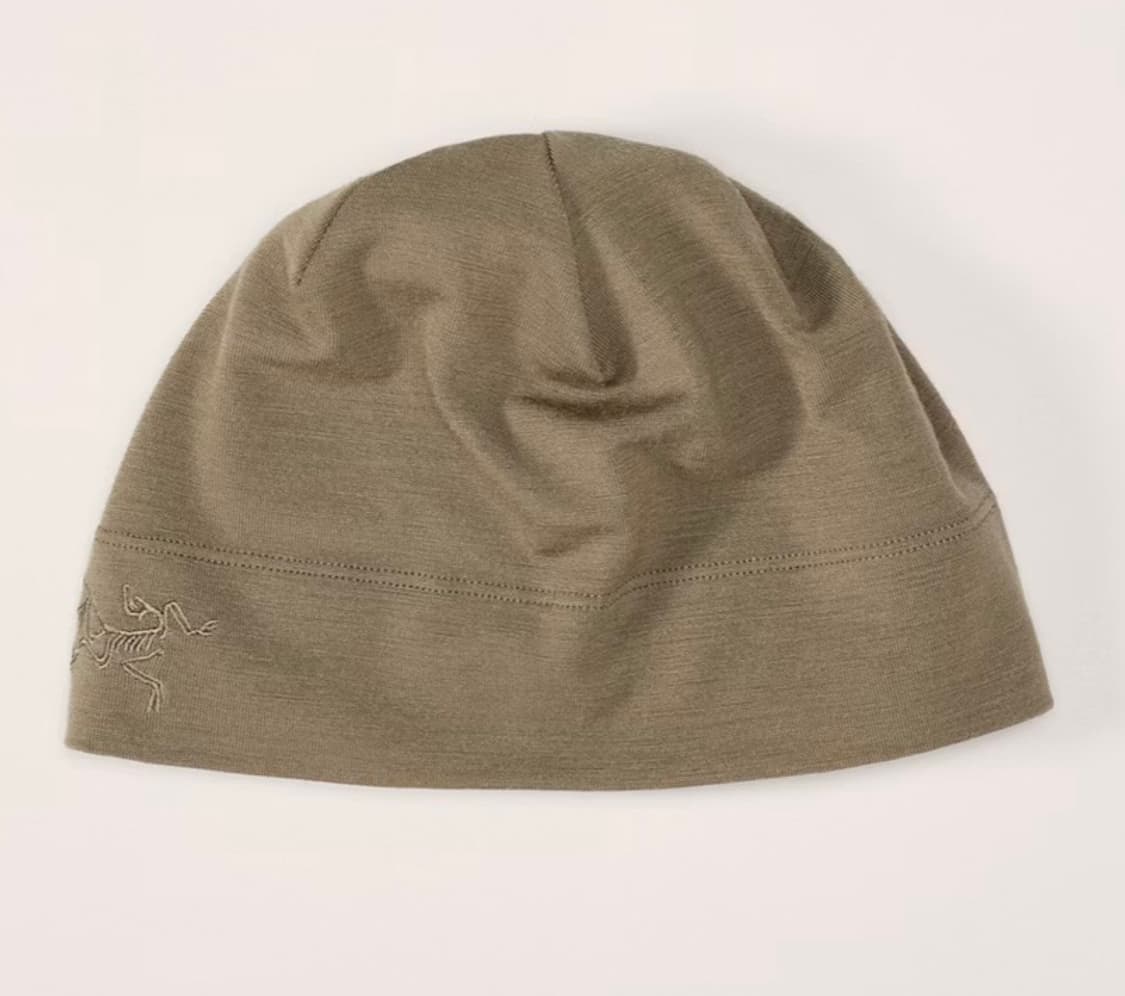 아크테릭스 리프 / 콜드 wx 비니 / 크로코다일 상품이미지1