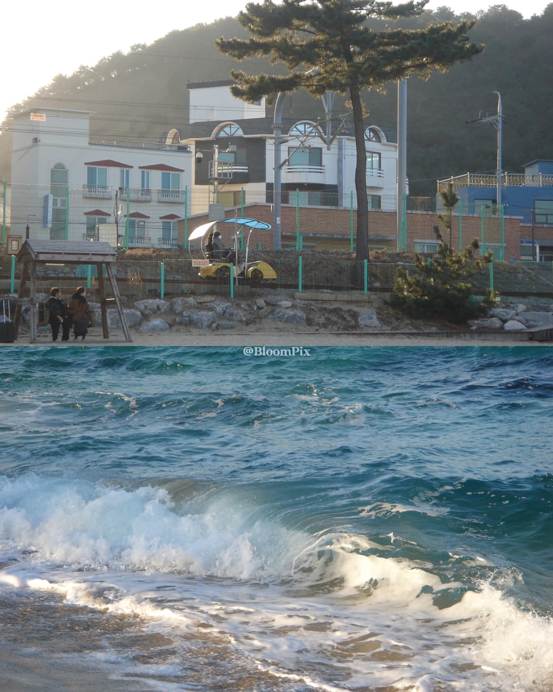 [A+급/풀구성] 소니 M2  Sony DSC-M2 상품이미지4