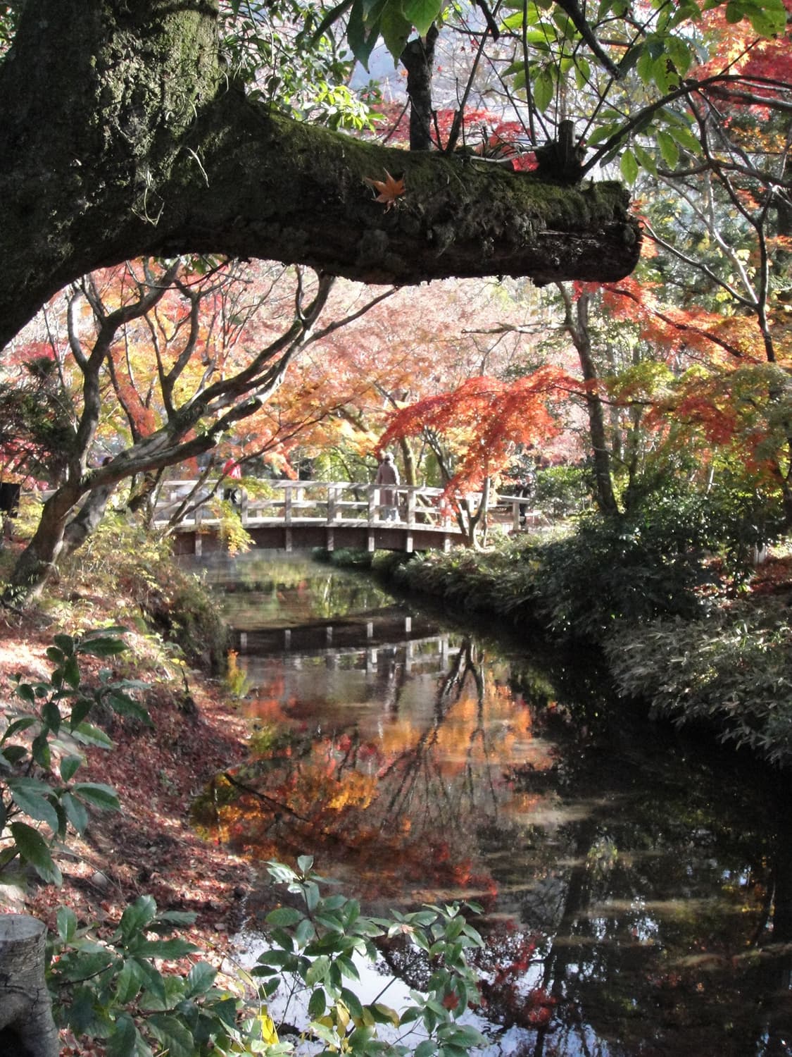 Sony cybershot dsc-t900 소니 사이버샷 t900 디카 상품이미지3