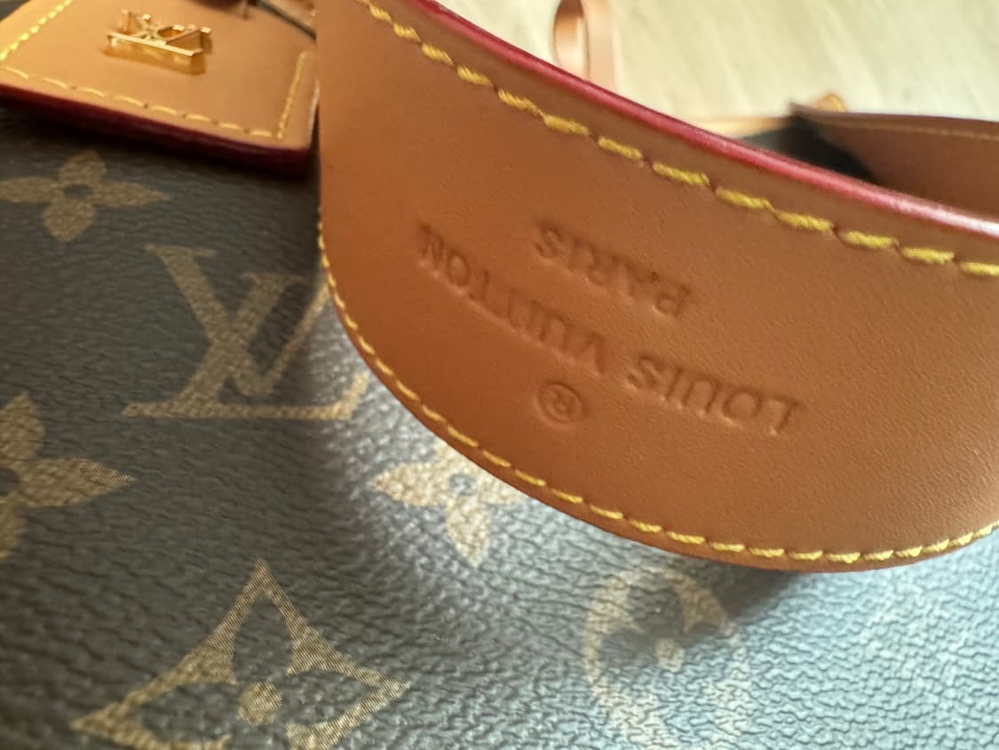 루이비똥 캐리올 pm 상품이미지5