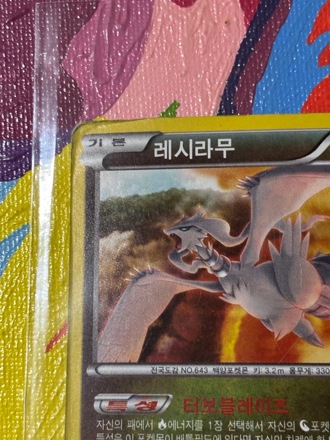 포켓몬스터 레시라무xy 포켓몬 카드 인테리어 소품 꾸미기용 포장용 상품이미지2