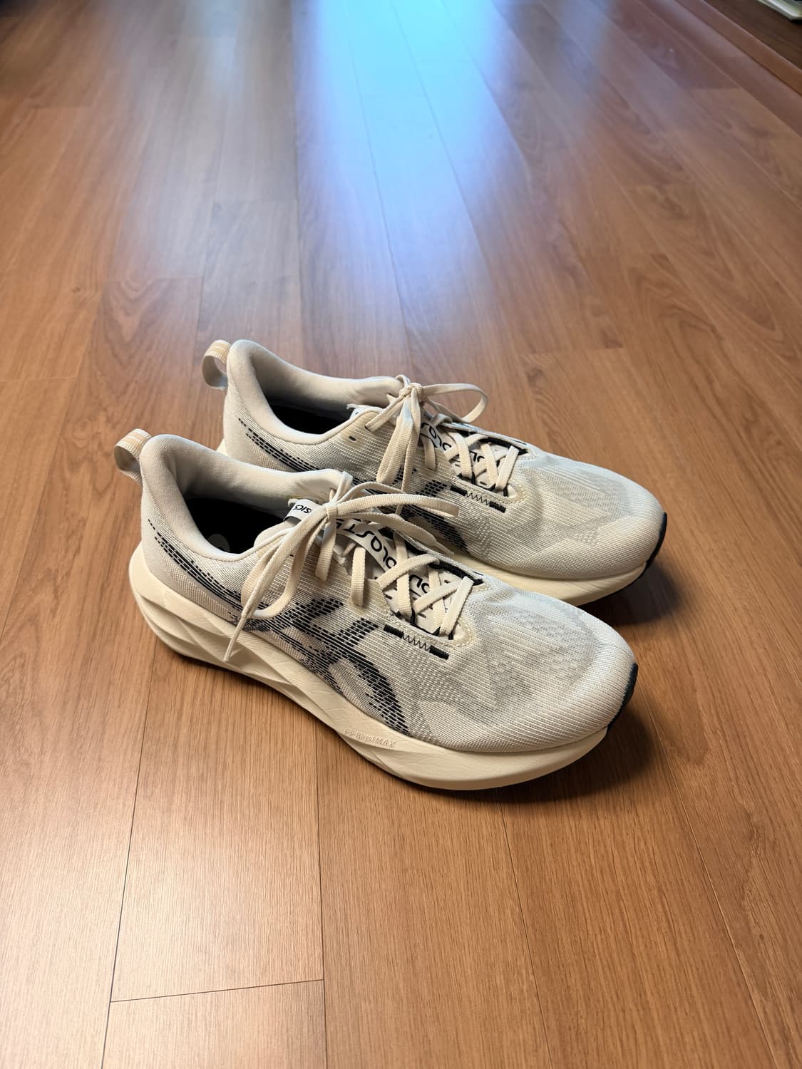 270) 아식스 노바블라스트5 오트밀 상품이미지2