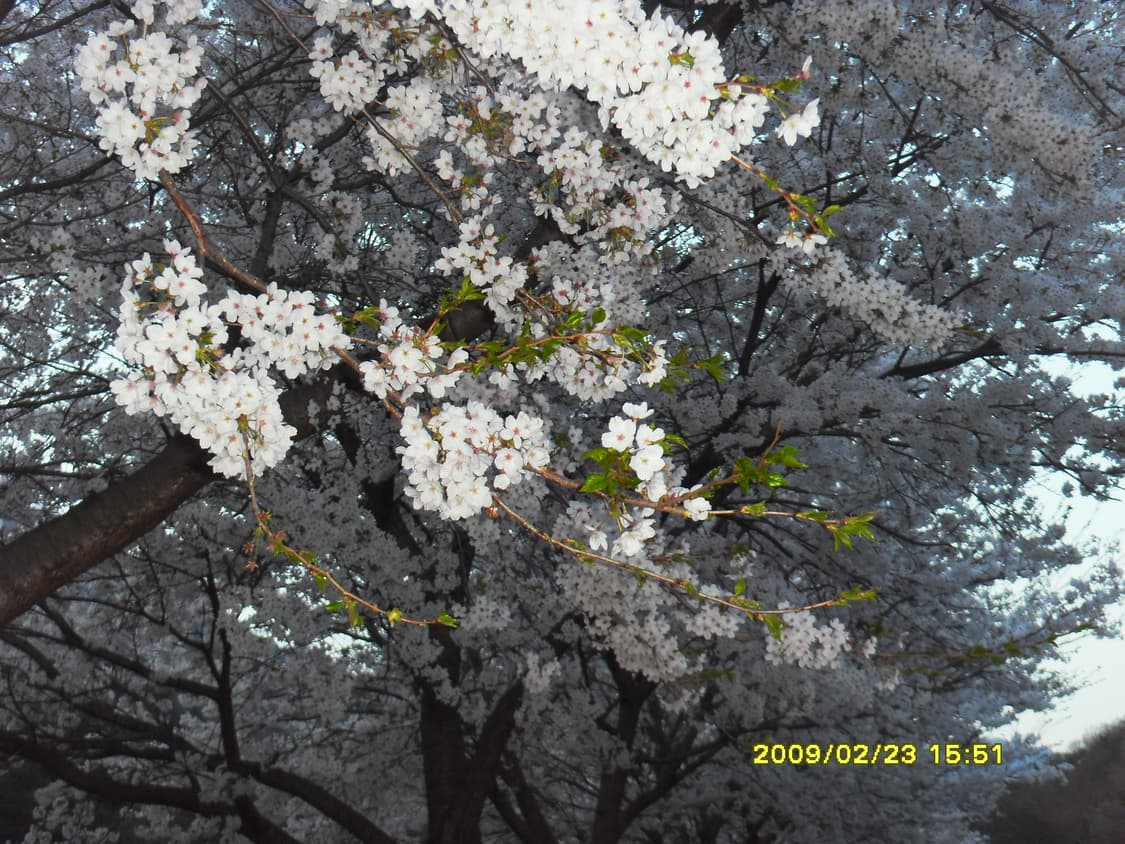 삼성 VLUU i100 디지털카메라  상품이미지10